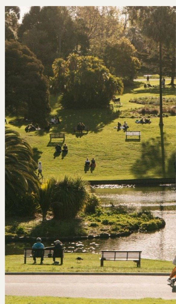 Charlotte park and neighborhood landscape
